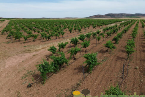 705_fincas-en-venta-001