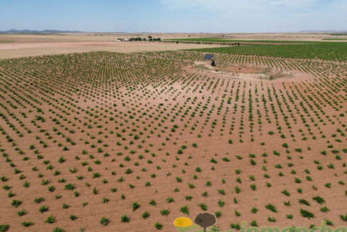 705_fincas-en-venta-006