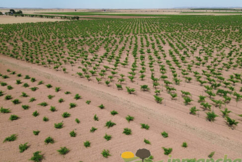 705_fincas-en-venta-009