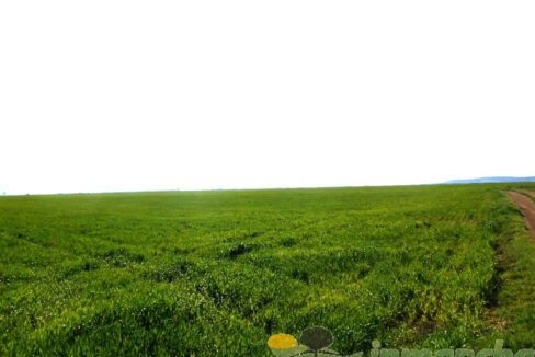 705_fincas-en-venta-019