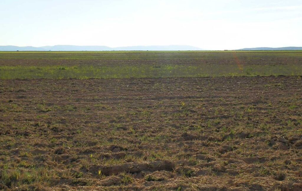 705_fincas-en-venta-059