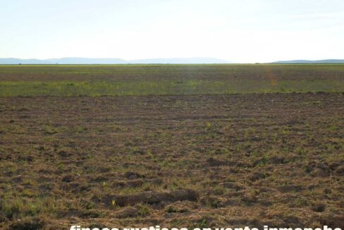 705_fincas-en-venta-059