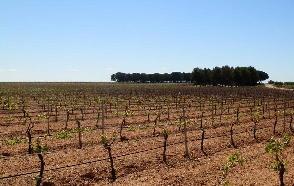 706_fincas-en-venta-003