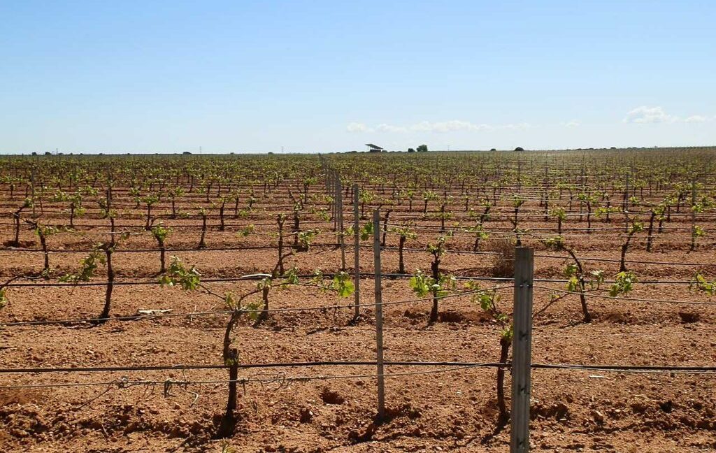 706_fincas-en-venta-004