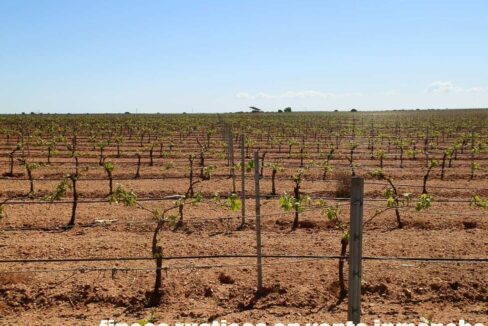 706_fincas-en-venta-004