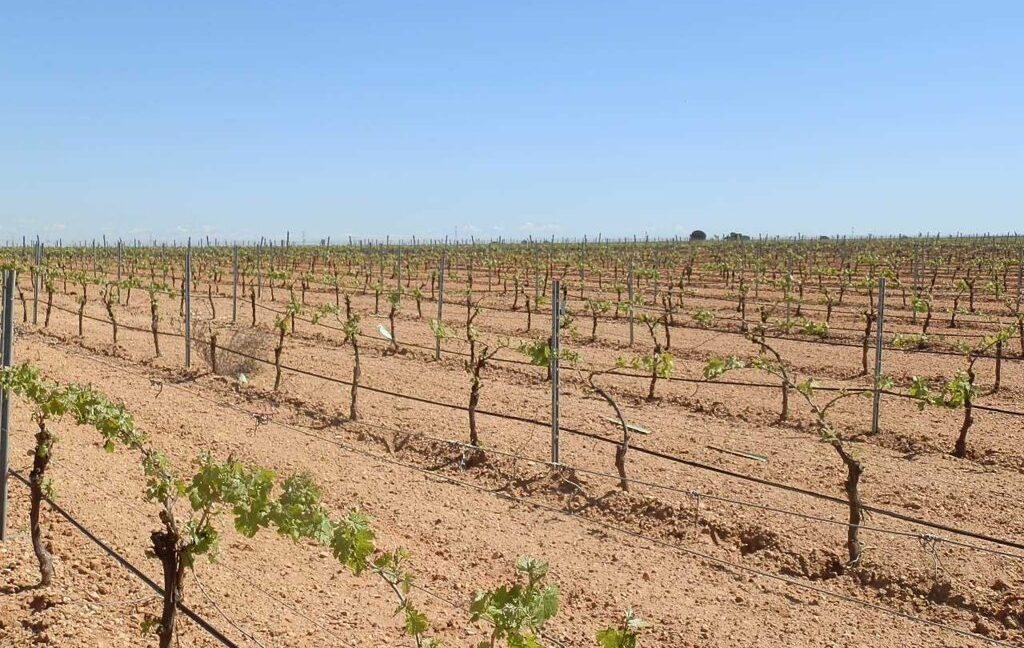 706_fincas-en-venta-005