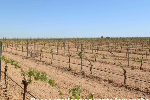 706_fincas-en-venta-005