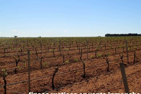 706_fincas-en-venta-008