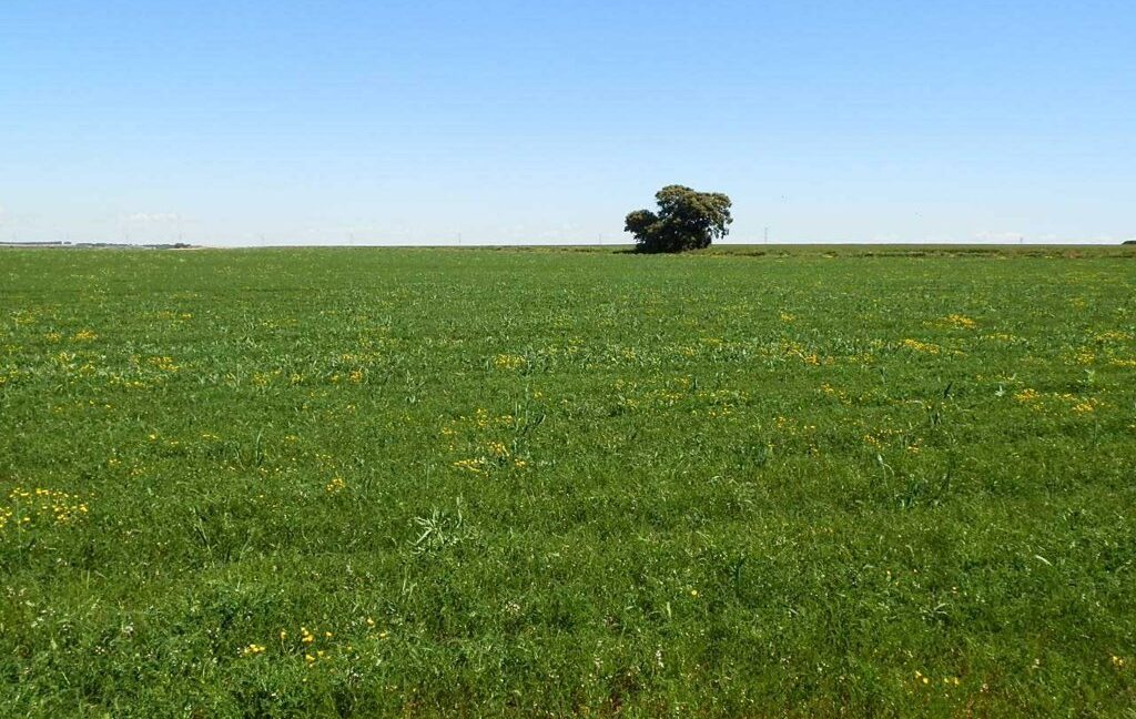 706_fincas-en-venta-024