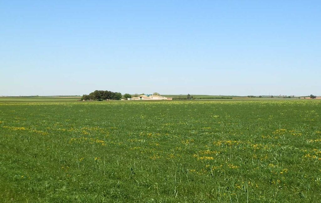 706_fincas-en-venta-026