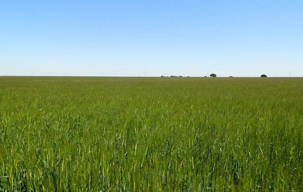 706_fincas-en-venta-028