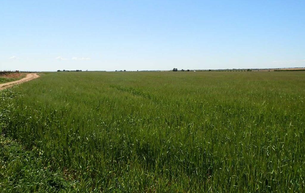 706_fincas-en-venta-030