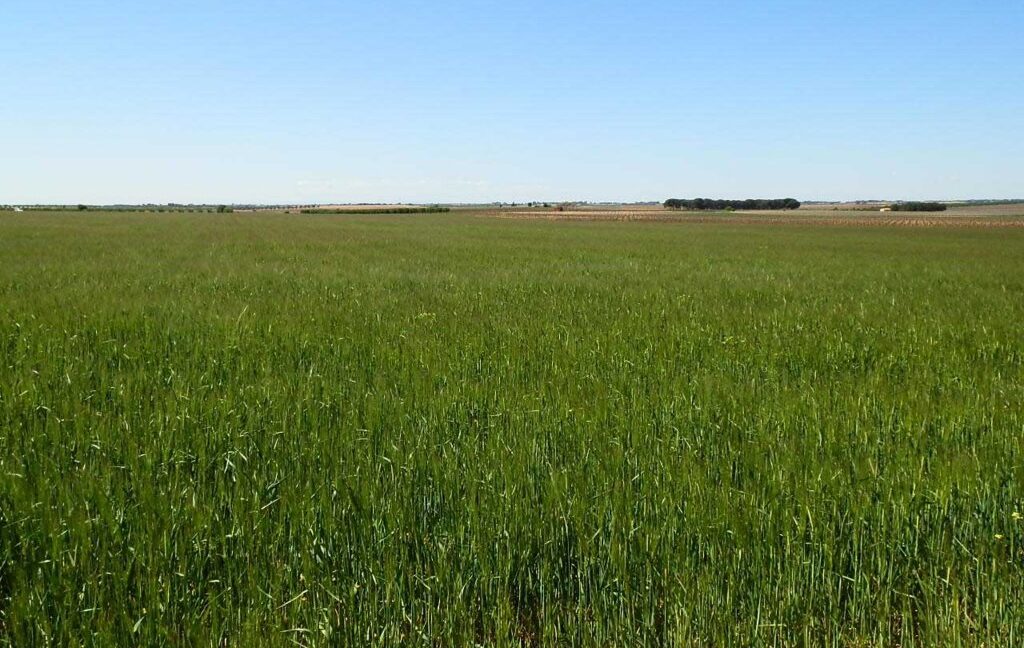 706_fincas-en-venta-031