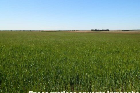 706_fincas-en-venta-031