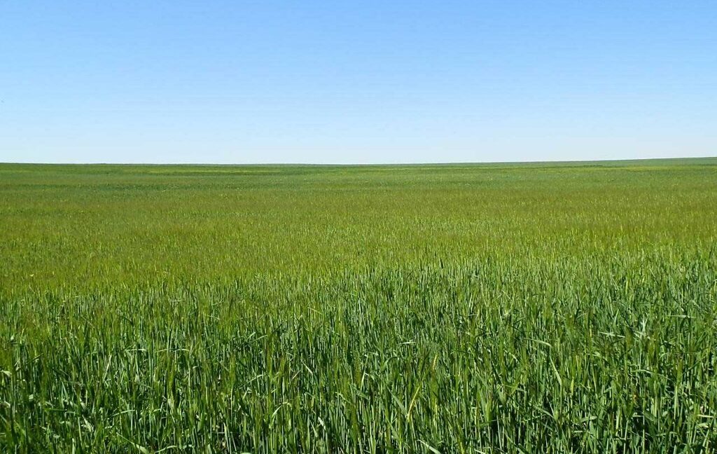 706_fincas-en-venta-035