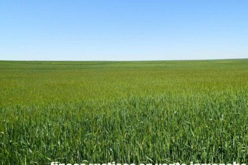 706_fincas-en-venta-035