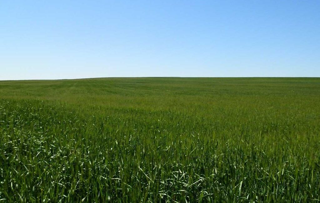 706_fincas-en-venta-036