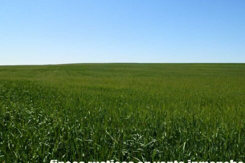 706_fincas-en-venta-036