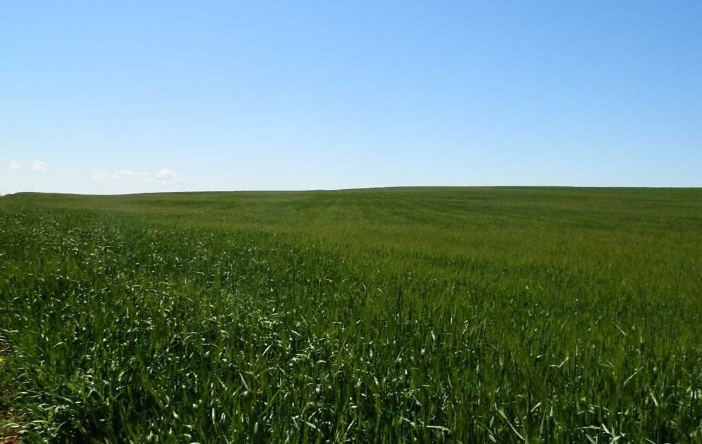 706_fincas-en-venta-037