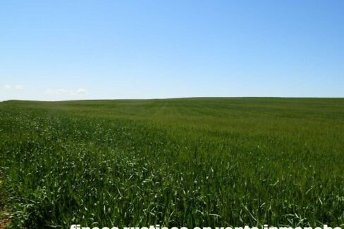 706_fincas-en-venta-037