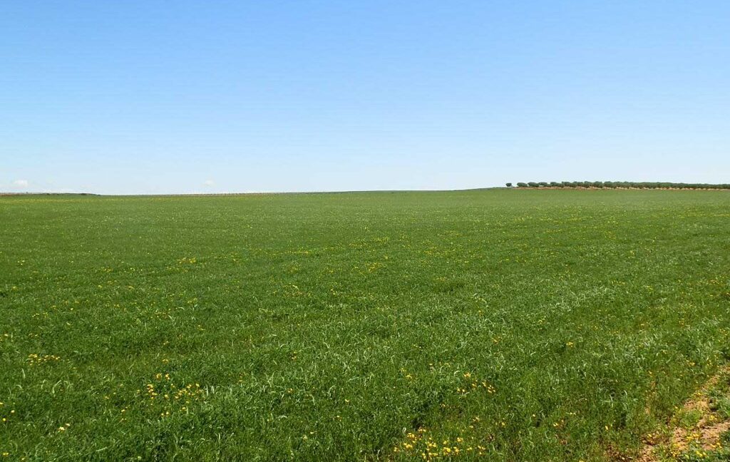 706_fincas-en-venta-038