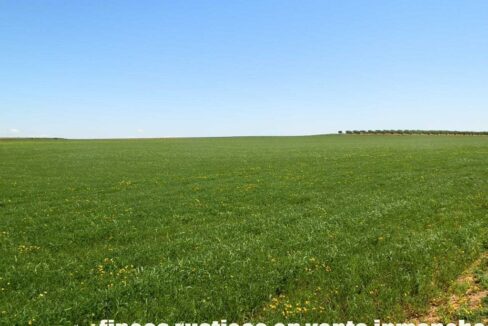 706_fincas-en-venta-038