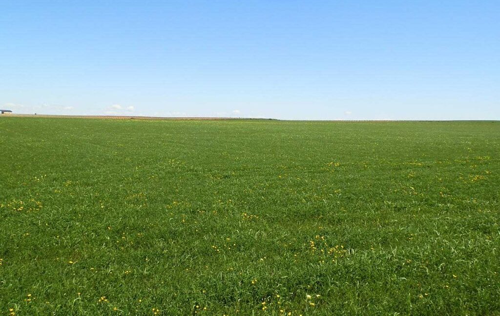 706_fincas-en-venta-039