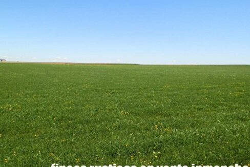 706_fincas-en-venta-039