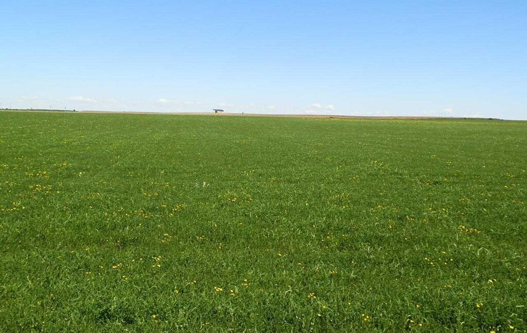 706_fincas-en-venta-040