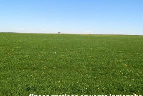706_fincas-en-venta-040