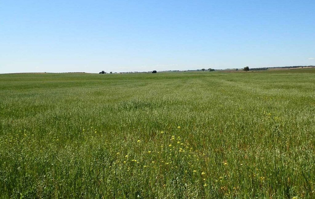 706_fincas-en-venta-041