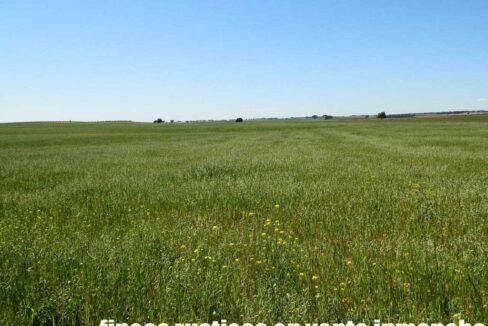 706_fincas-en-venta-041
