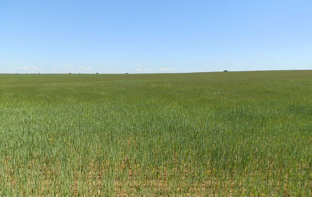706_fincas-en-venta-043