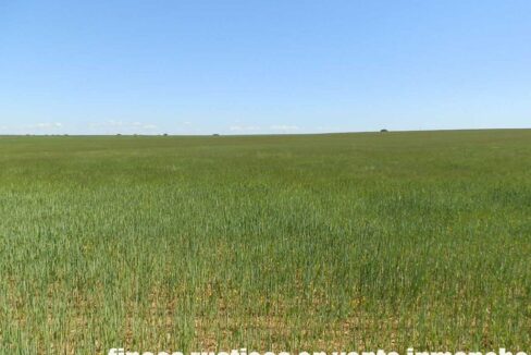 706_fincas-en-venta-043