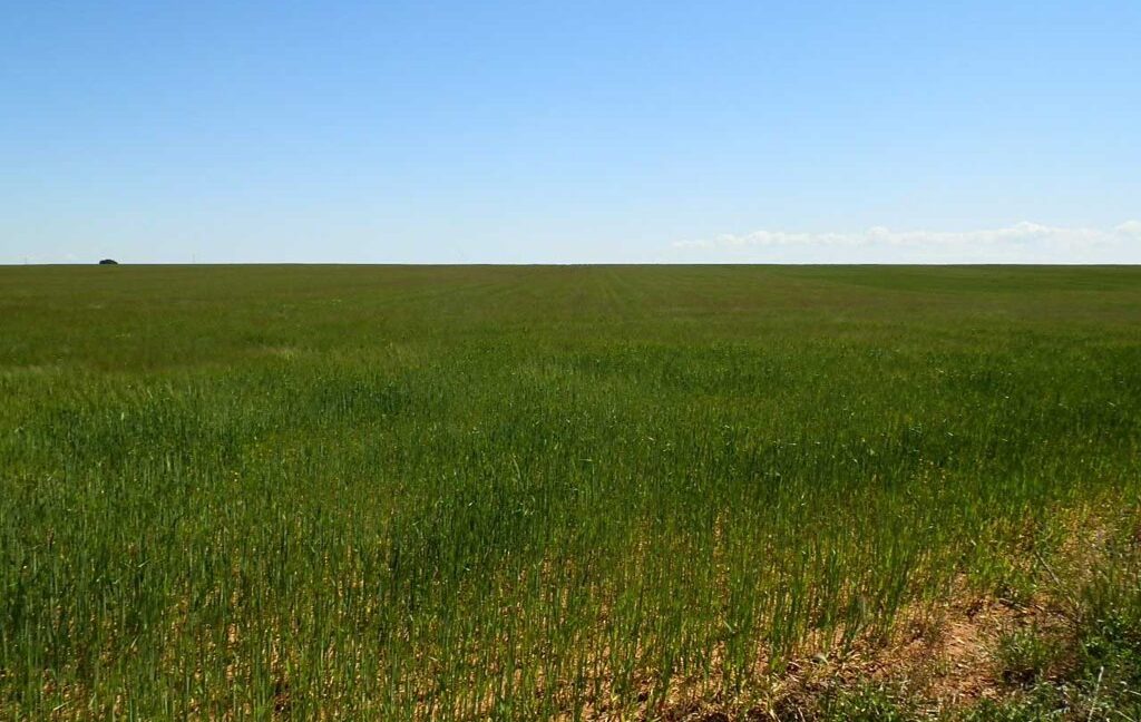 706_fincas-en-venta-044
