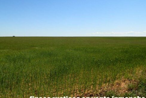 706_fincas-en-venta-044