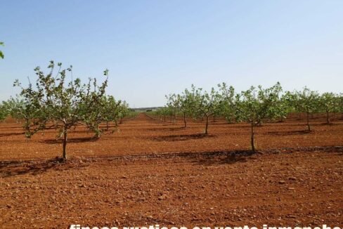 707_fincas-en-venta-002