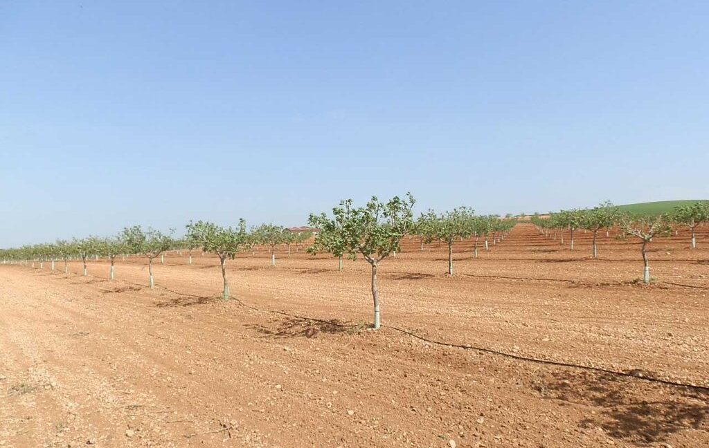 707_fincas-en-venta-006