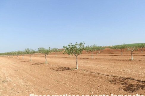 707_fincas-en-venta-006