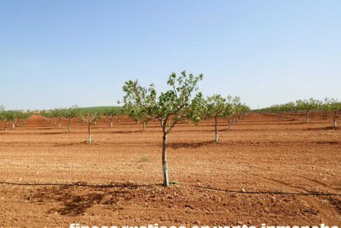 707_fincas-en-venta-007