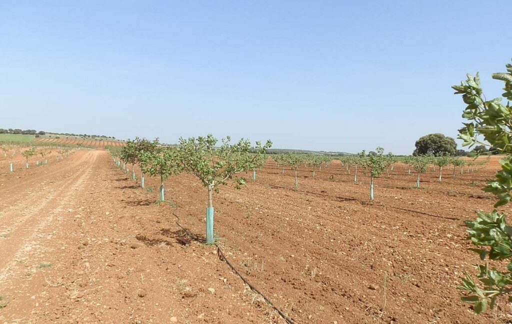 707_fincas-en-venta-014