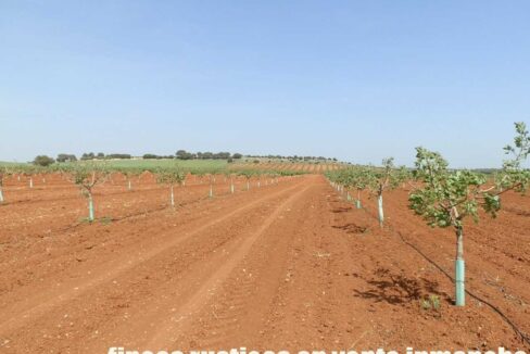 707_fincas-en-venta-017