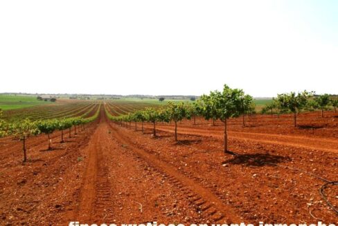 707_fincas-en-venta-020