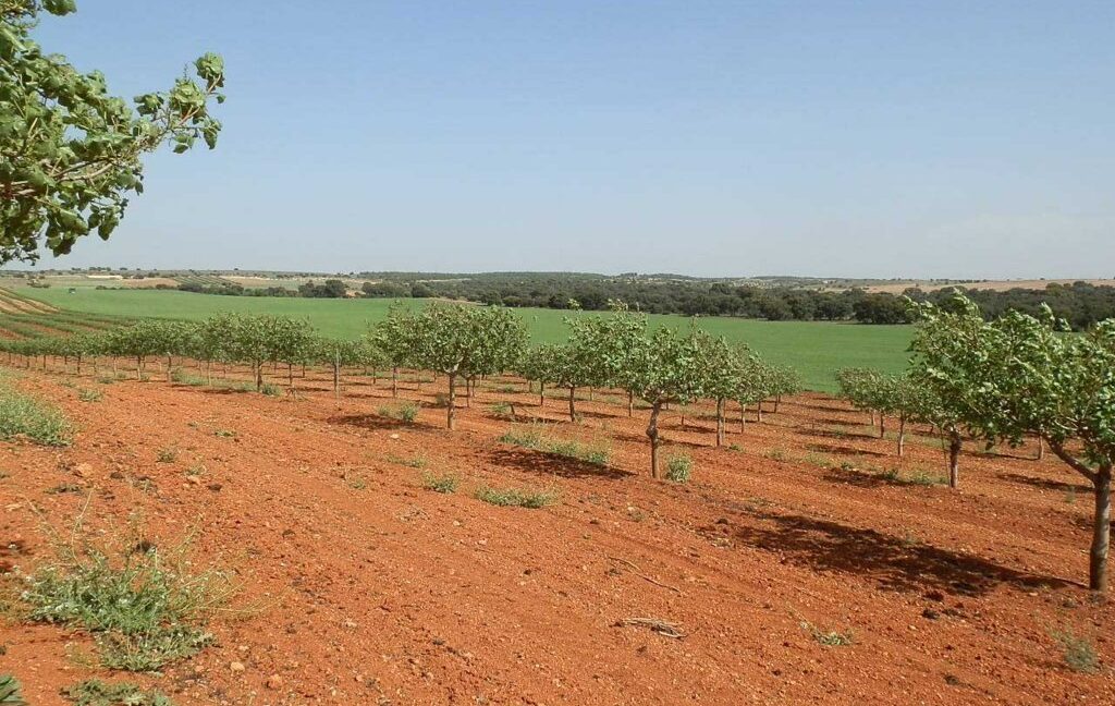 707_fincas-en-venta-023