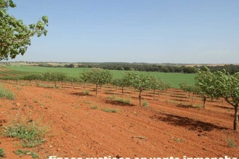 707_fincas-en-venta-023