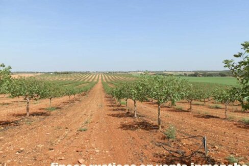 707_fincas-en-venta-027