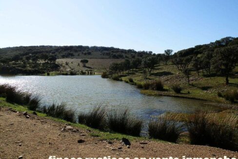 708_fincas-en-venta-011