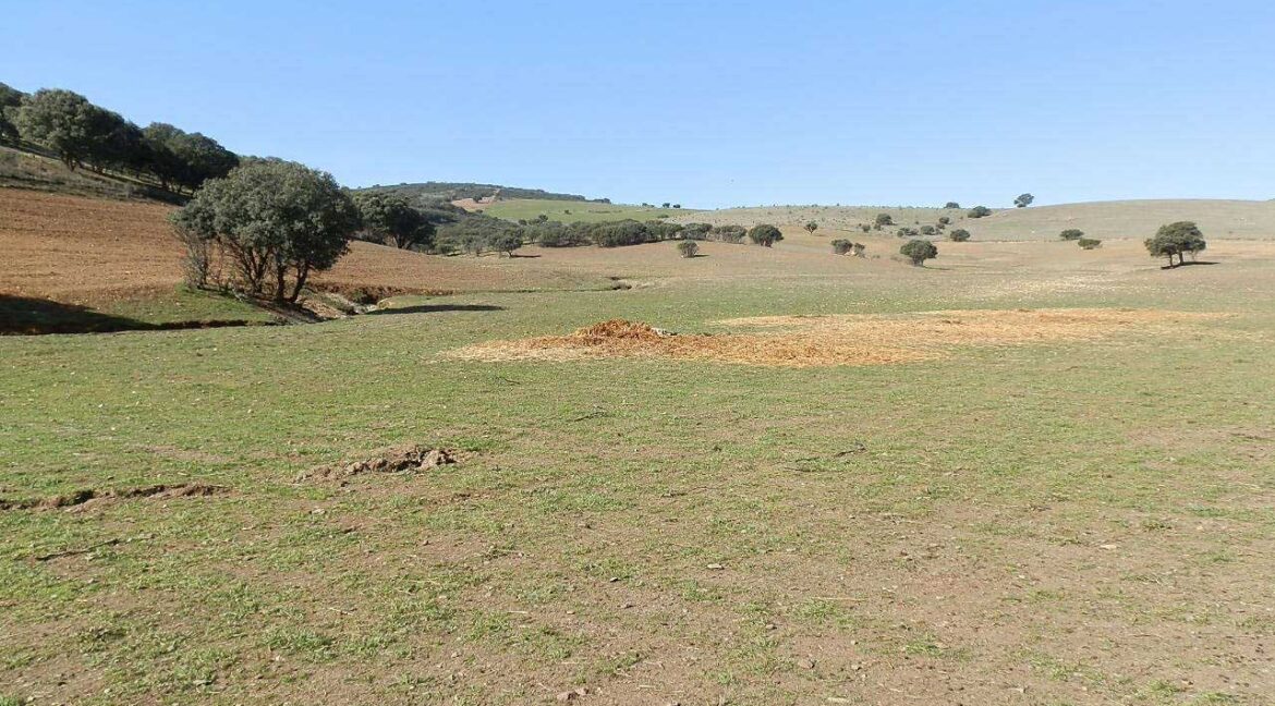 708_fincas-en-venta-013