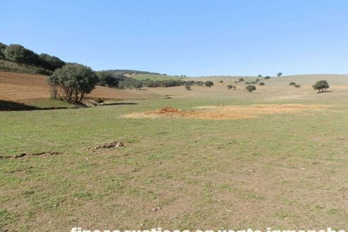 708_fincas-en-venta-013