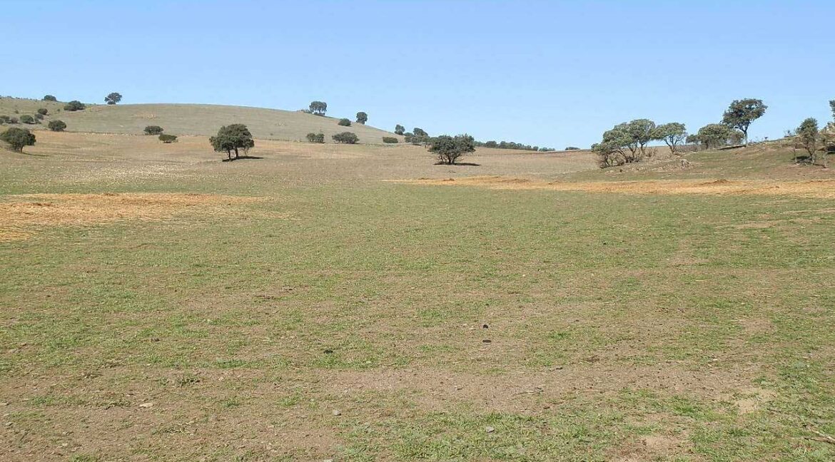 708_fincas-en-venta-014